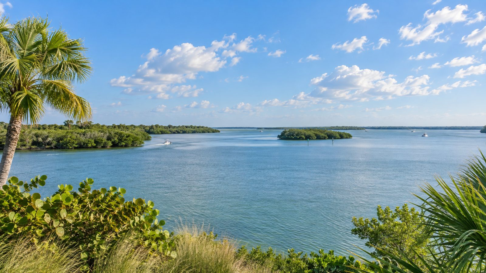 What Should You Know About Saltleaf on Estero Bay Before Buying in Bonita Springs?